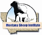 MSU Sheep Institute